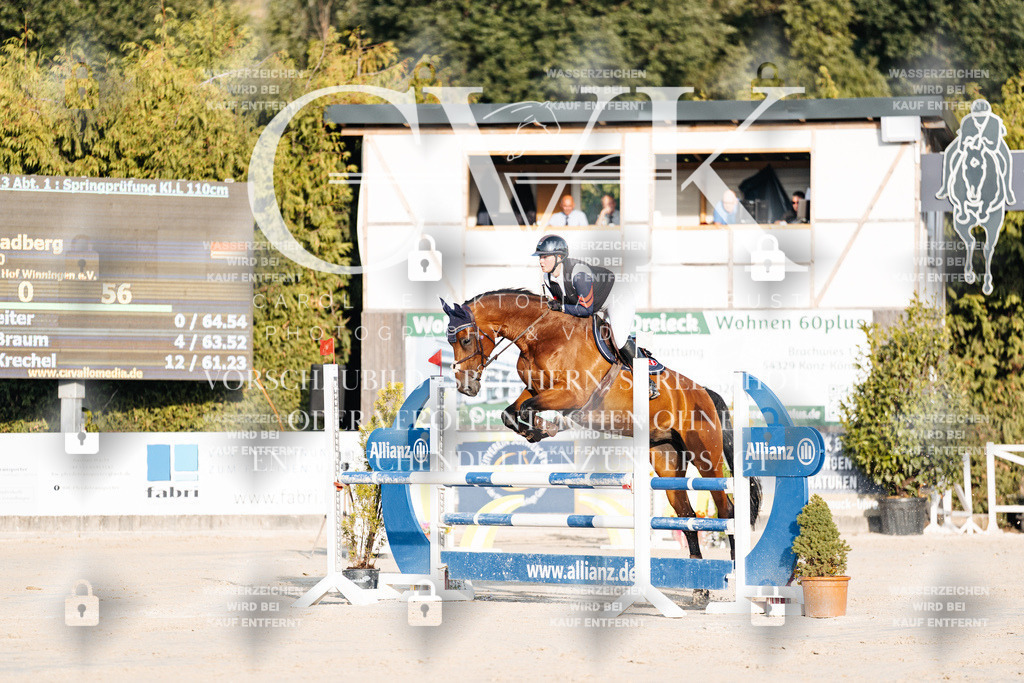 CK900673 | Turnierfotografie Pferdefotografie Trier Rheinland-Pfalz Pferdesport Reitsport Tierfotografie Sportfotografie Pferdevideo Pferdevideografie Equestrianvideography equestrianphotography  - Realisiert mit Pictrs.com