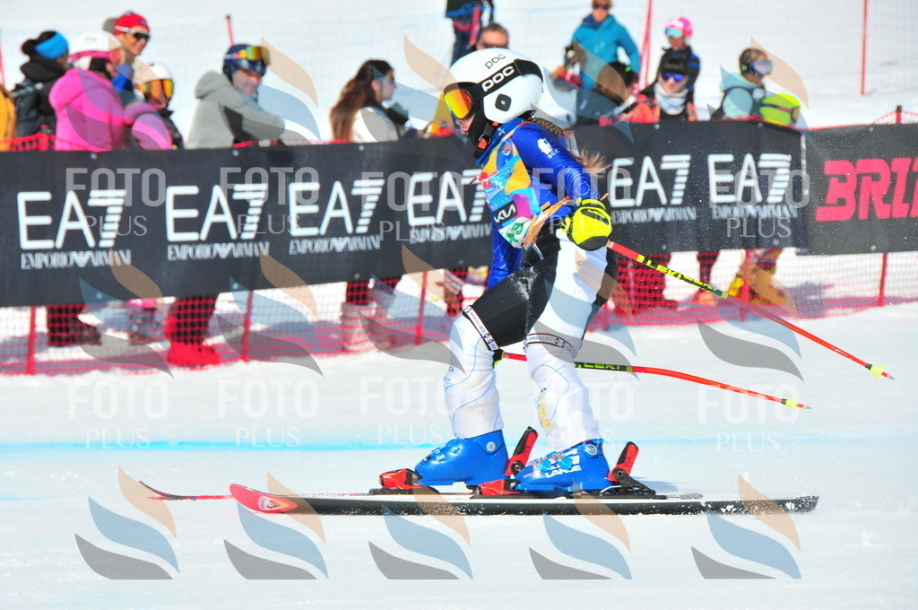 DSC_1295 | holidayphoto