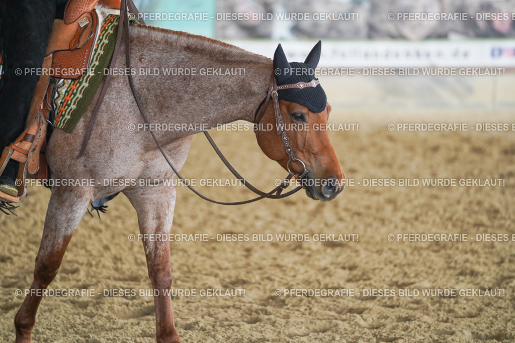 DSC09257 | Pferdegrafie