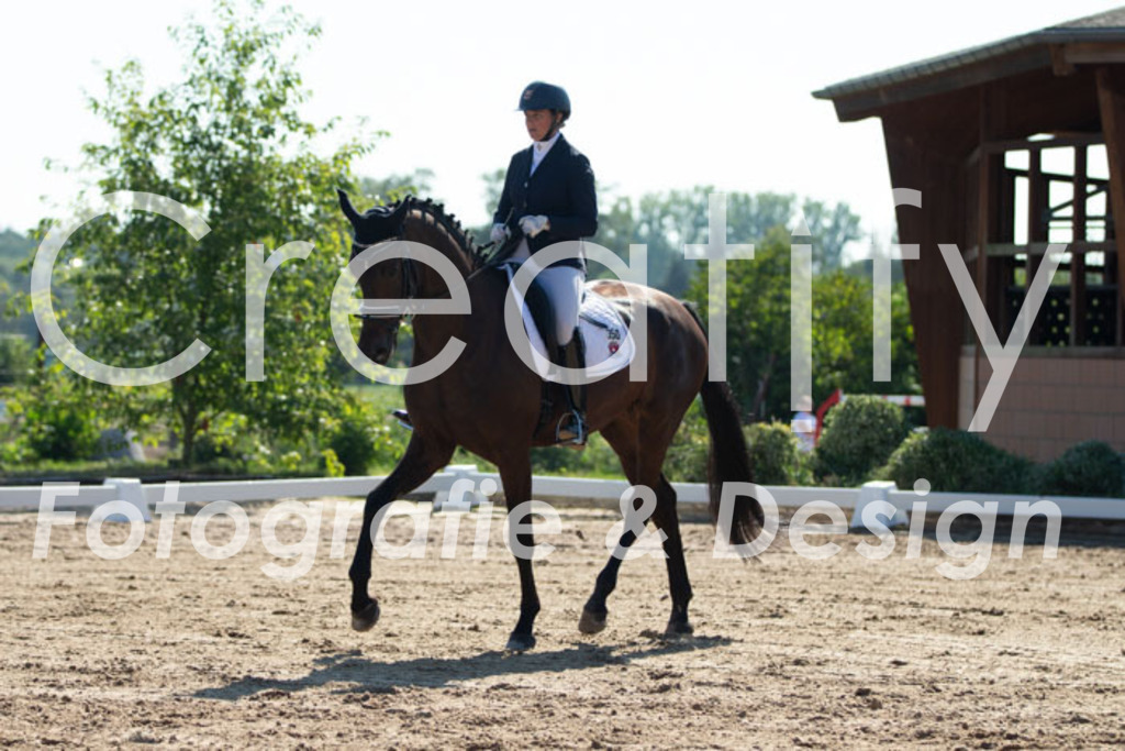 IMG_3225 | Creatify Fotografie