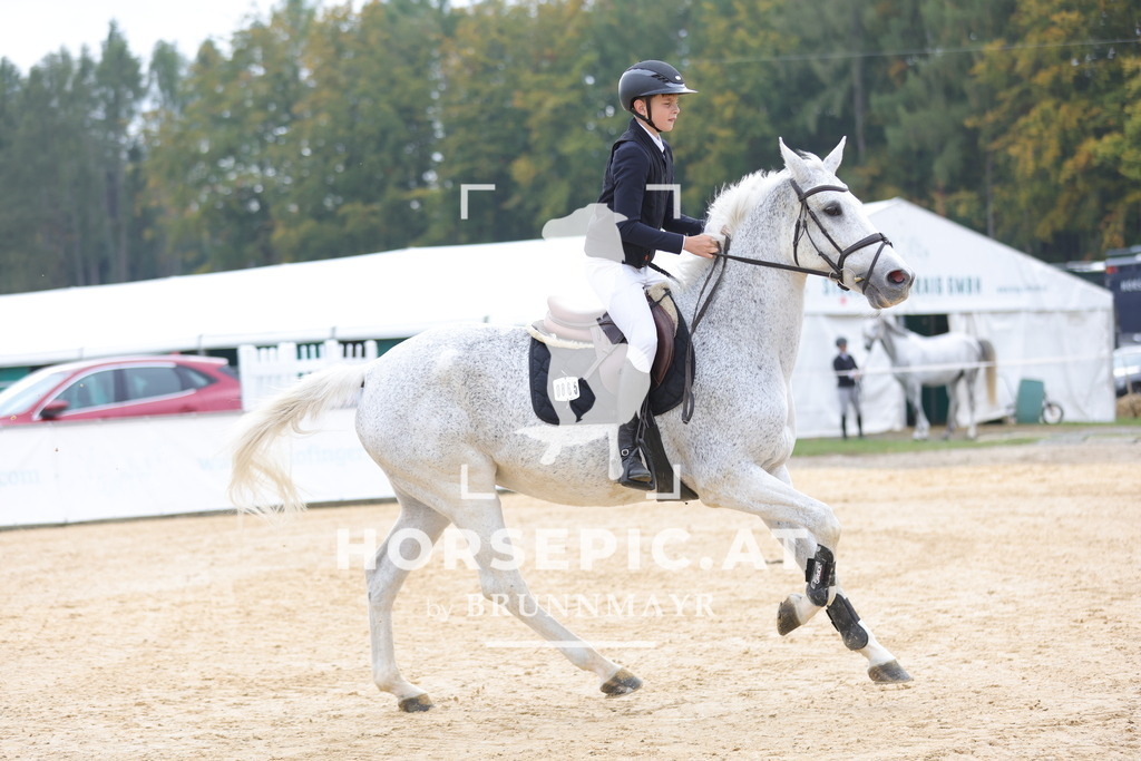0P6A7629 | Willkommen bei Brunnmayr - Design & Fotografie – Ihrem Spezialisten für Reitturniere und Pferdeveranstaltungen in Oberösterreich, Salzburg und Bayern! Seit über 17 Jahren sind wir leidenschaftlich dabei.