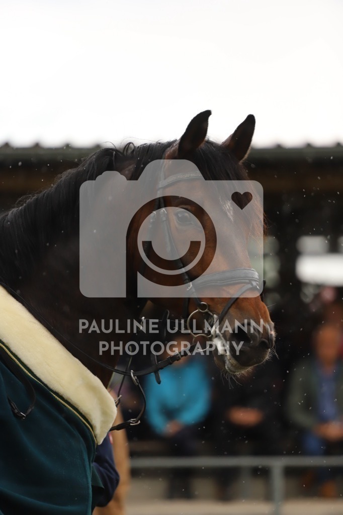 IMG_8368 | Pauline Ullmann Photography - Realisiert mit Pictrs.com