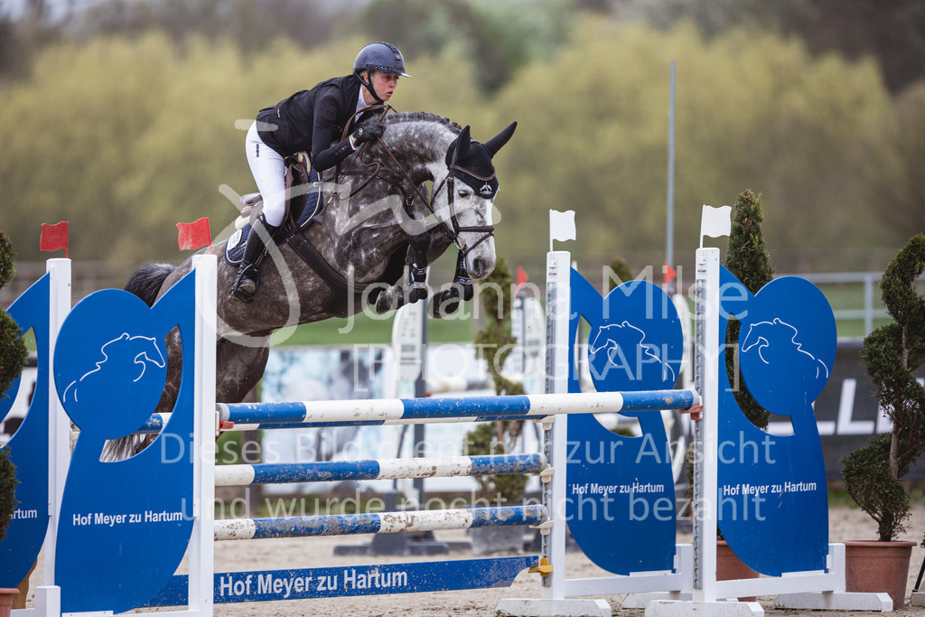 250417_Springpferde-L1-203 | Deine schönsten Turniermomente als professionelle Fotos! Entdecke hochwertige Pferdesport-Fotografie im Online-Shop. Jetzt Fotos finden & bestellen!