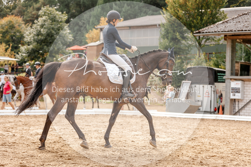 3I6A3874 | Stimmungsvolle Portraits und Reitsportfotografie im Ruhrgebiet und im Münsterland.

Pferdefotografie, Hundefotografie, Tierfotografie, Reportagen, Portraits von Tier und Mensch, Turnierfotografie in Bochum, Recklinghausen, Marl, Haltern am See, Dülmen.. - Realisiert mit Pictrs.com