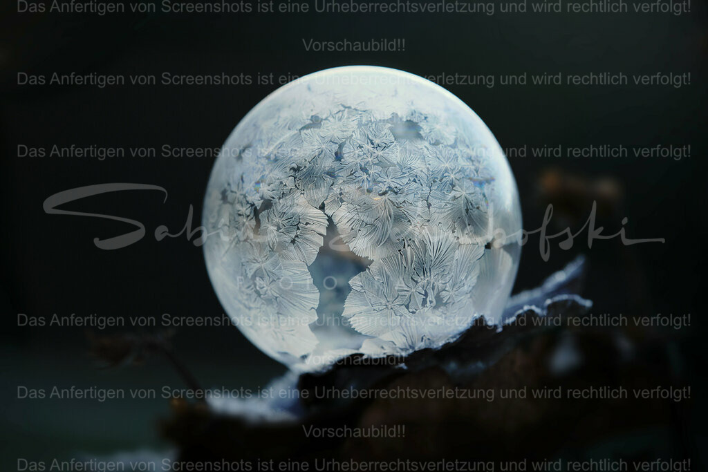 Wandbild Frozen Bubble / gefrorene Seifenblase | People- und Tierfotografie, Imageaufnahmen, Veranstaltungsfotografie und Wandbilder aus der Natur ★ Made in Germany ✔️ Druck + Downloads ✔️ Naturfotografie in Top Qualität ★ schneller Versand, weltweite Lieferung! - Realisiert mit Pictrs.com