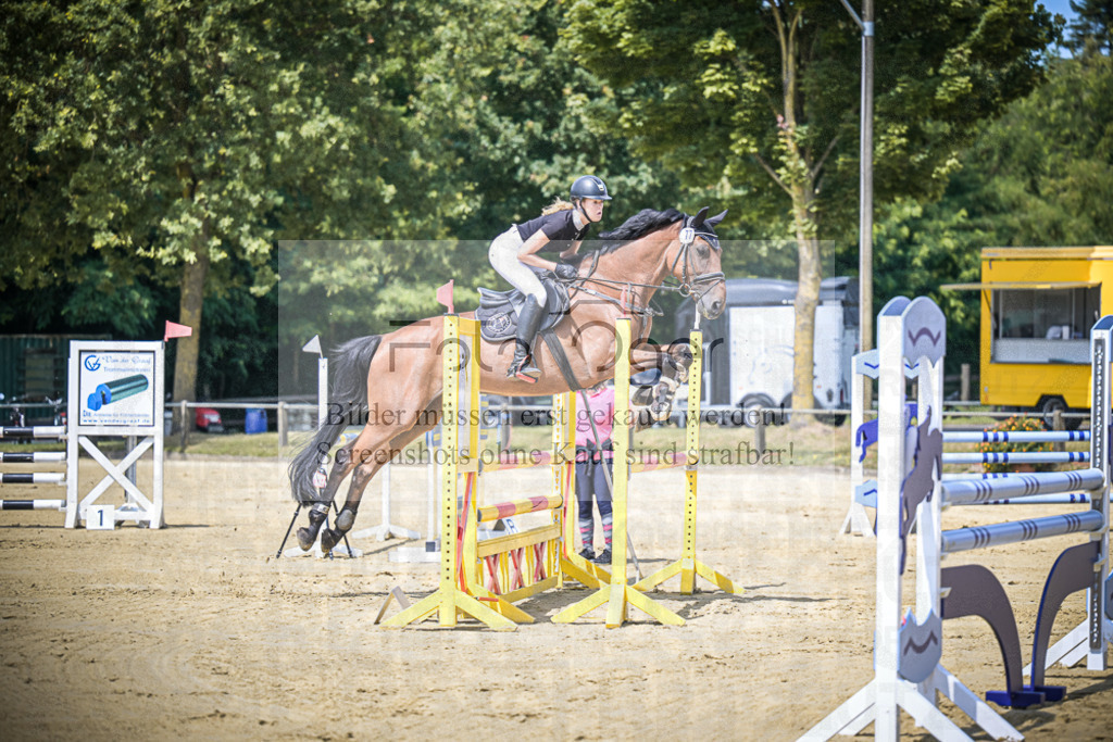 DOS_8903 | Entdecke hochwertige Reitturnierfotos von Foto Oger. Professionell, emotional und authentisch – jetzt Lieblingsmomente im Shop bestellen.Deutschlandweite Turnierfotografie. - Realisiert mit Pictrs.com