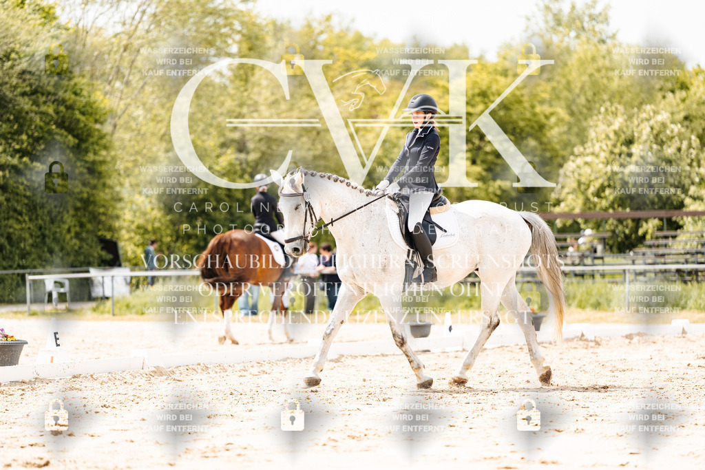 CK902074 | Turnierfotografie Pferdefotografie Trier Rheinland-Pfalz Pferdesport Reitsport Tierfotografie Sportfotografie Pferdevideo Pferdevideografie Equestrianvideography equestrianphotography  - Realisiert mit Pictrs.com