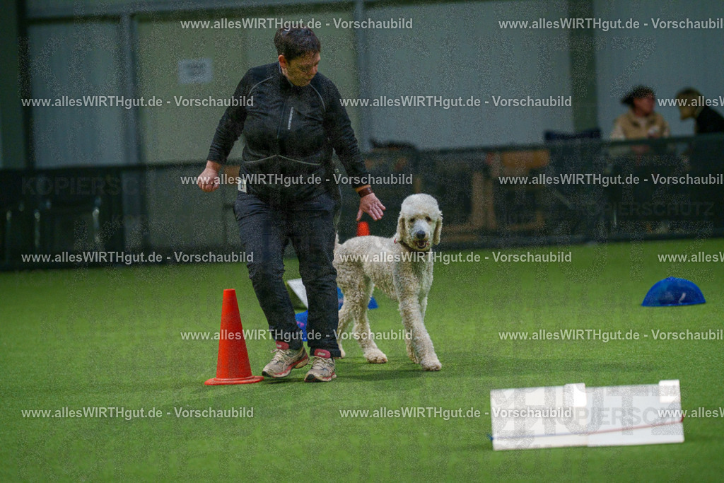 7R505549 | Professionelle Tierfotografie in Mönchengladbach von Daniel Wirth (allesWIRTHgut). Liebevolle & natürliche Bilder von Hunden & Katzen für unvergessliche Erinnerungen.