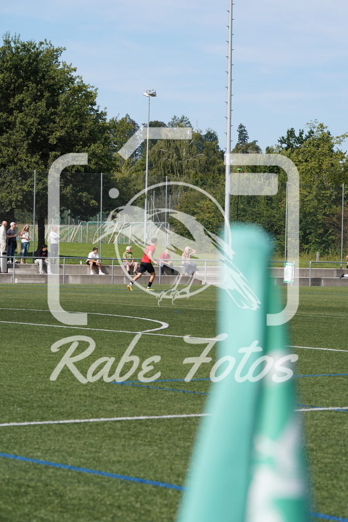 DSC08445 | rabefotos