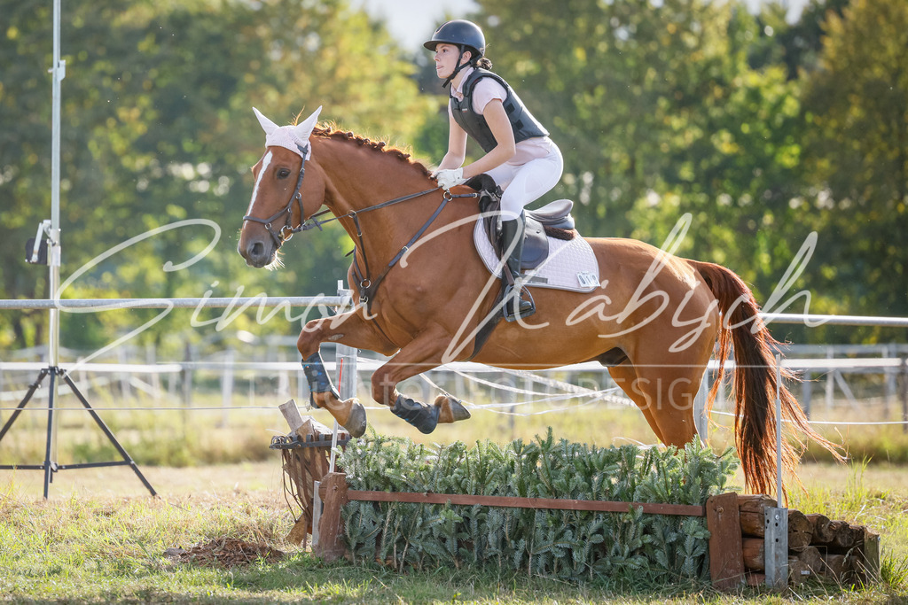 20250905-_3LI2205 | Tierfotografie Pferde, Hunde, Katzen, Haustiere.
Turnierfotografie Reitturniere, Reiten, Springreiten, Dressur in Hanau, dem Main-Kinzig-Kreis und dem Rhein-Main- Gebiet um Frankfurt
