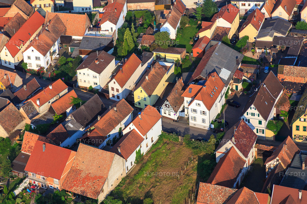 Luftbild: Pfalzstr in Zeiskam im Bundesland Rheinland-Pfalz in Deutschland. Foto: IMG_080639.jpg vom 12.06.2015 durch Werner Riehm/FLY-FOTO.de