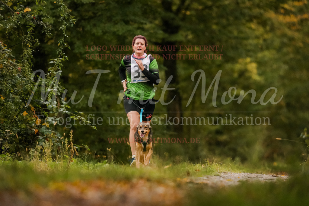 20251005_THS_Turnier-31 | MuT (Mensch und Tier) mit Mona - Fotografie und Tierkommunikation - Realisiert mit Pictrs.com