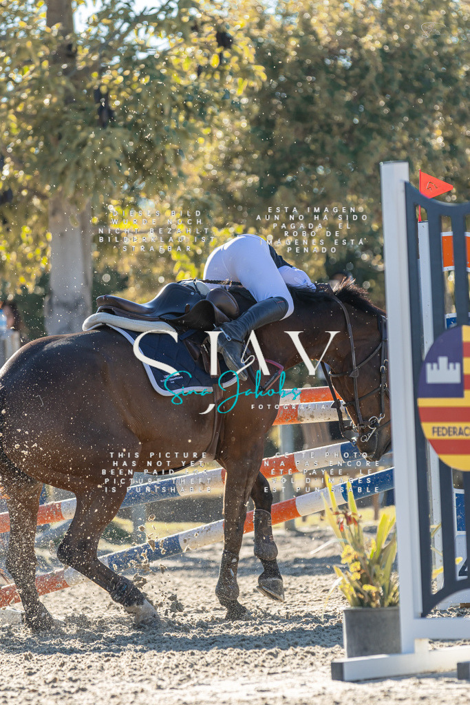 IMG_2123 | s-jay-photography - Realisiert mit Pictrs.com