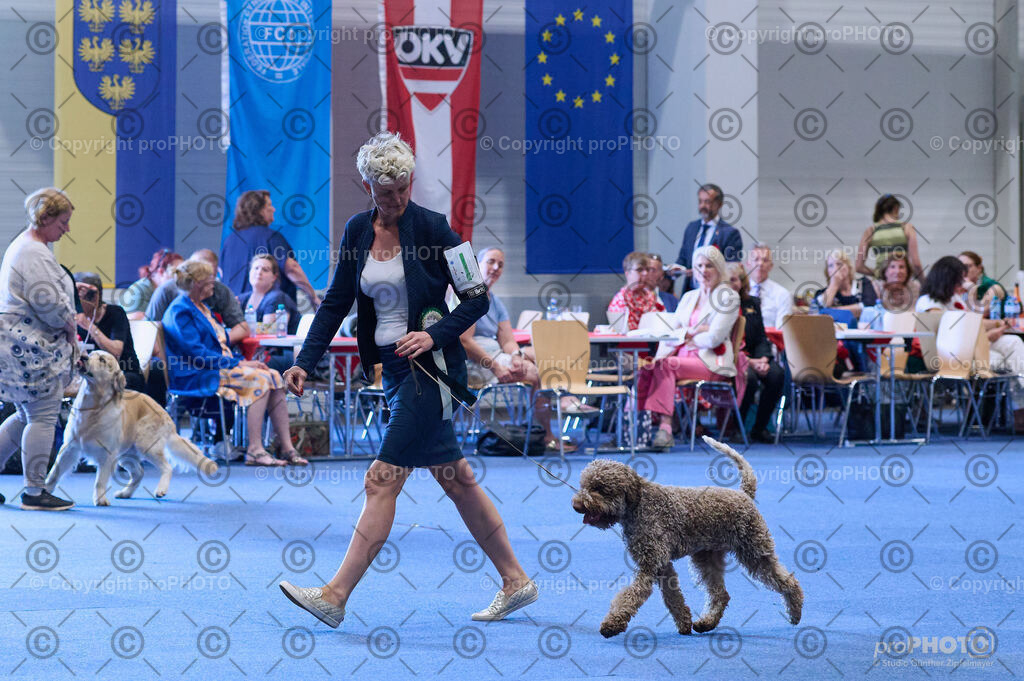 202406_ÖKV-IHA-Tulln24_DSC_4174 | proPHOTO - Realisiert mit Pictrs.com