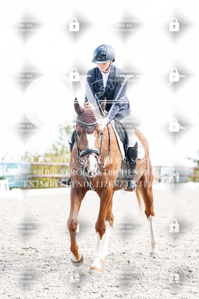 CK901906 | Turnierfotografie Pferdefotografie Trier Rheinland-Pfalz Pferdesport Reitsport Tierfotografie Sportfotografie Pferdevideo Pferdevideografie Equestrianvideography equestrianphotography  - Realisiert mit Pictrs.com
