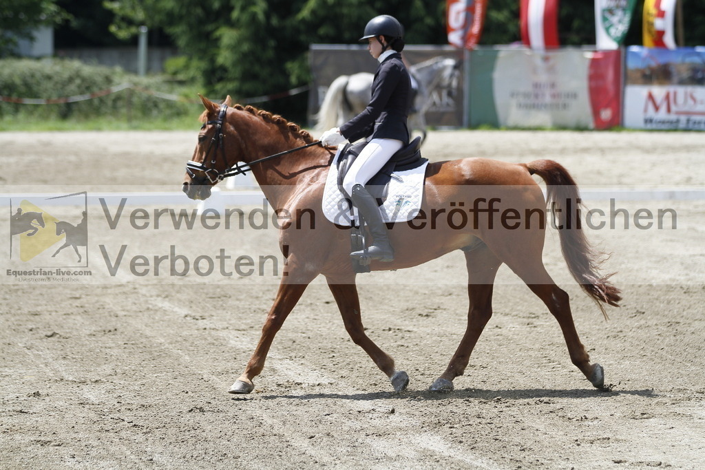 _MG_1346 | equestrian-live-com