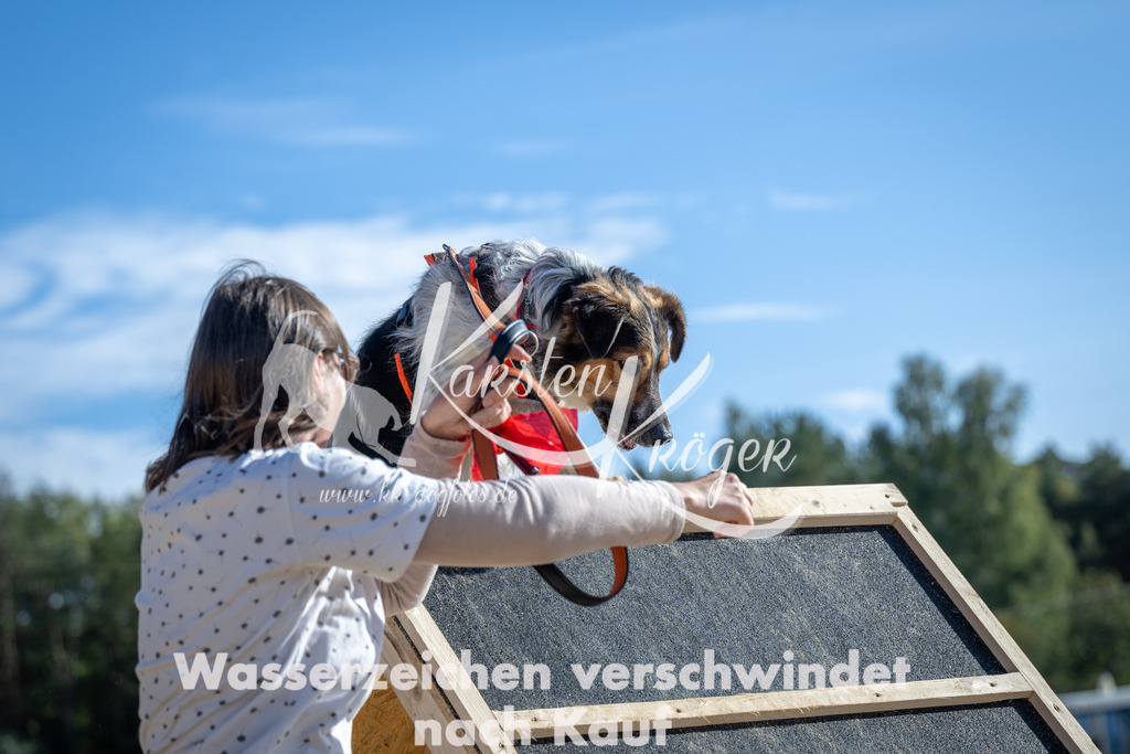 1504_ZZ92074 | kk-dogfotos