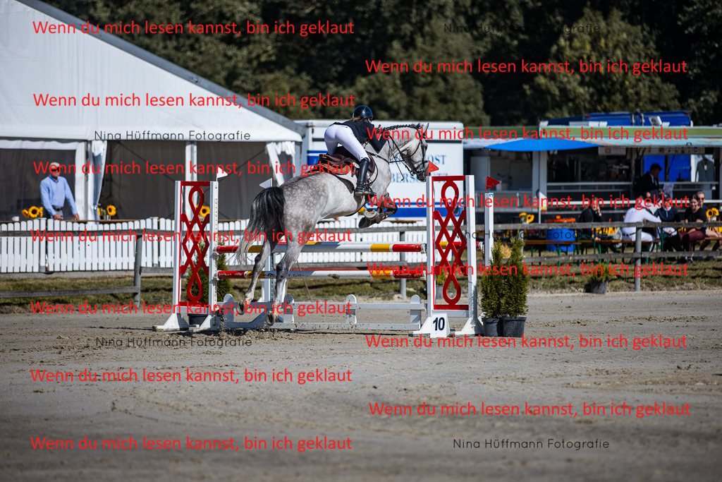 BK1A5669 | Turnierbilder Turnierfotos Nina Hüffmann Turnierfotografie Pferdefotografie Tierzeichnung Haustierzeichnung Pferdezeichnung Hundezeichnung Videograf  - Realisiert mit Pictrs.com