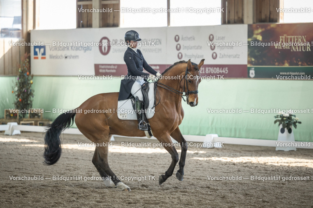 _D5A0023 | Emotionale Pferde- & People-Fotografie rund um Heidelberg, Leimen & Umgebung. Natürliche Fotos von Pferd, Mensch & Familie. Jetzt Termin sichern!