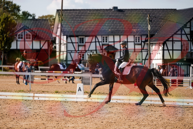 2026_10_03_Siefer-Hof_133656_Z63_98774053 | Professionelle Reitsport-, Turnier- und Eventfotografie von Robert Broda. Galerien mit ausgewählten und bearbeiteten Bildern direkt online ansehen und bestellen.
