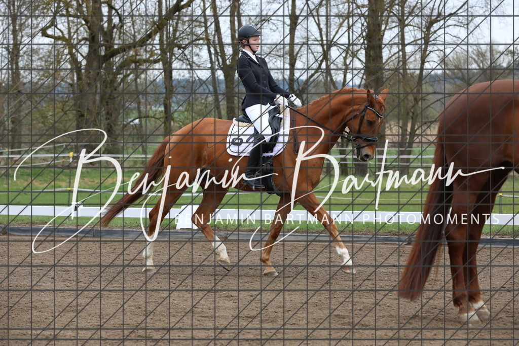 AZ2A4028 | Benjamin Bartmann Photomoments