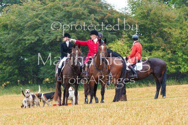 Jagd Kletkamp 26-02806_MarinaHewig | Fotografie, FotoArt, PferdesportArt, Pferdesportfotografie, Landschaftsfotografie, Reisefotografie, Reise, Pferde - Realisiert mit Pictrs.com