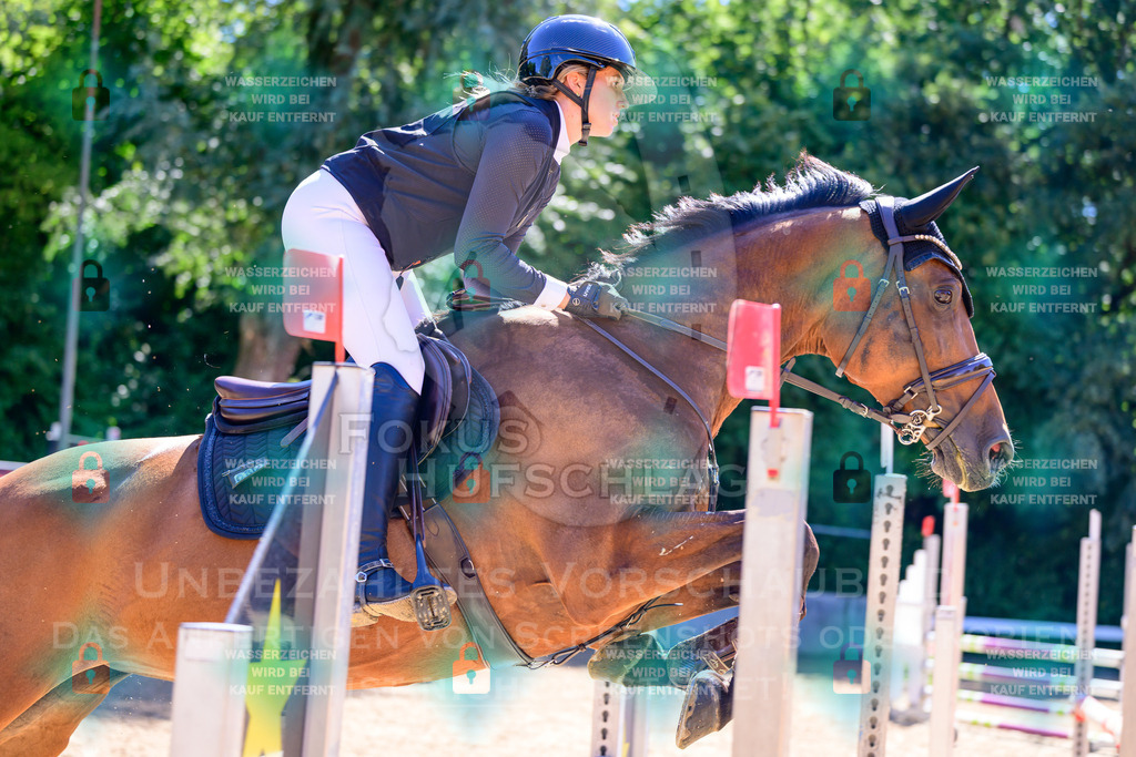 29082026-Giesenbach-Prfg10-0561 | Fokus Hufschlag Fotografie - Realisiert mit Pictrs.com