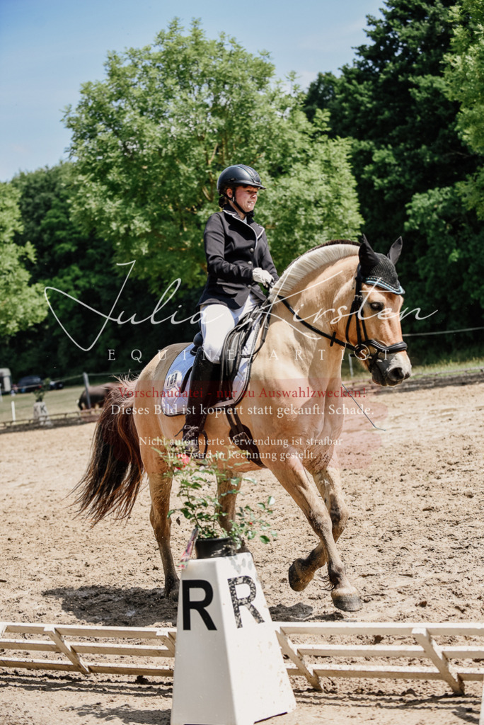 DSC_1679 | Pferde- und Turnierfotografie in Westsachsen. Pferdeportraits, Auftragszeichnungen und intuitive Kunst.