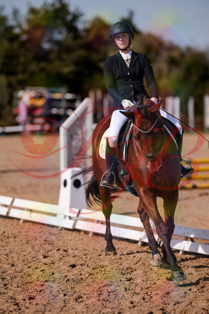 2026_10_03_Siefer-Hof_130745_Z81_58838024 | Professionelle Reitsport-, Turnier- und Eventfotografie von Robert Broda. Galerien mit ausgewählten und bearbeiteten Bildern direkt online ansehen und bestellen.