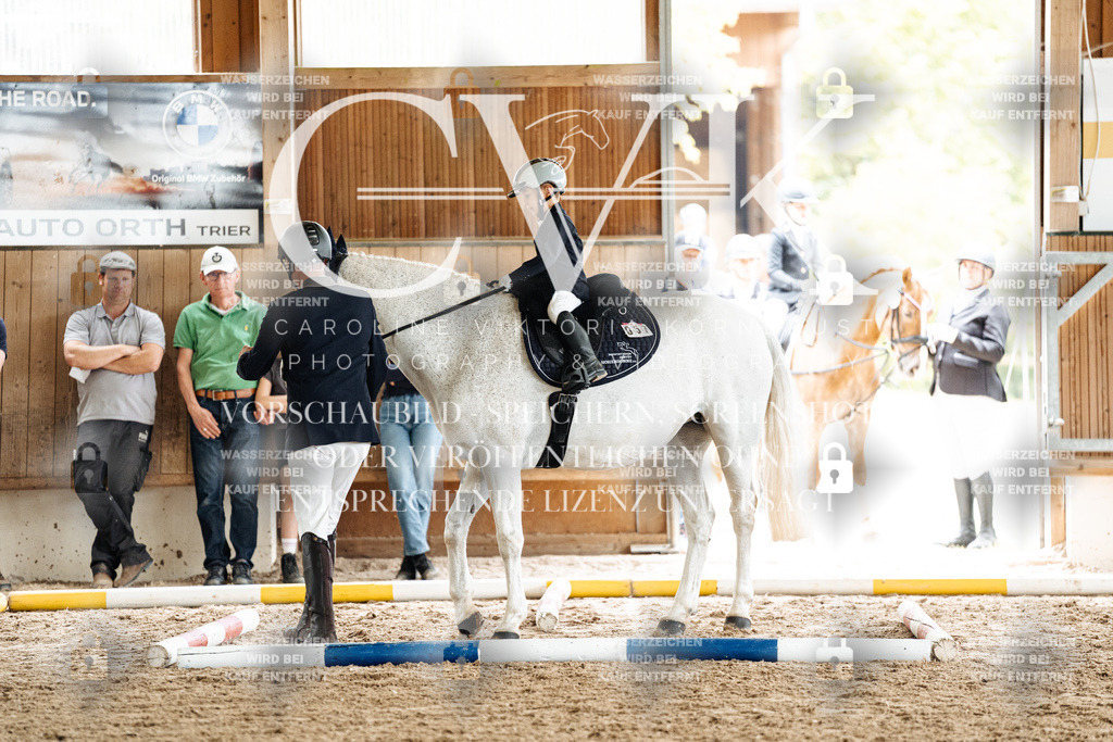 CK902295 | Turnierfotografie Pferdefotografie Trier Rheinland-Pfalz Pferdesport Reitsport Tierfotografie Sportfotografie Pferdevideo Pferdevideografie Equestrianvideography equestrianphotography  - Realized with Pictrs.com