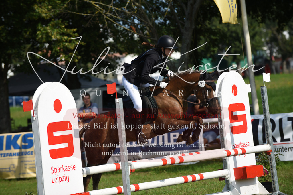 DSC_8952 | Pferde- und Turnierfotografie in Westsachsen. Pferdeportraits, Auftragszeichnungen und intuitive Kunst.