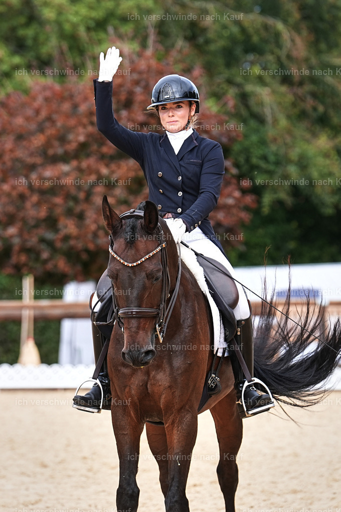 11-066-Dressur S___-Marixx-1657 | working equitationturnier fotograf videograf stoibphotography marixx film working equitation deutschland reitsport turnierfotografie eventfotografie equestrian events