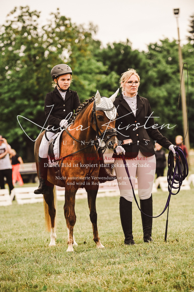 DSC_5264 | Pferde- und Turnierfotografie in Westsachsen. Pferdeportraits, Auftragszeichnungen und intuitive Kunst.