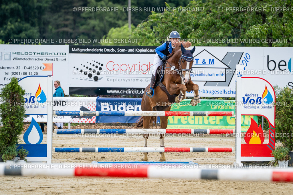 DSC04400 | Pferdegrafie