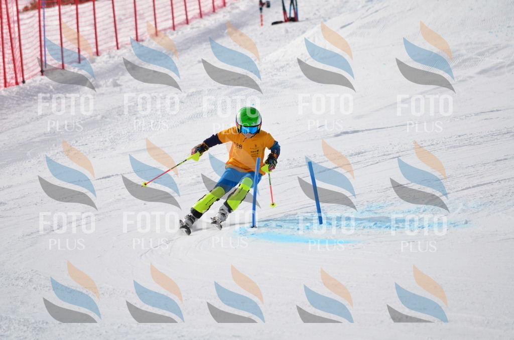 C8040 | holidayphoto