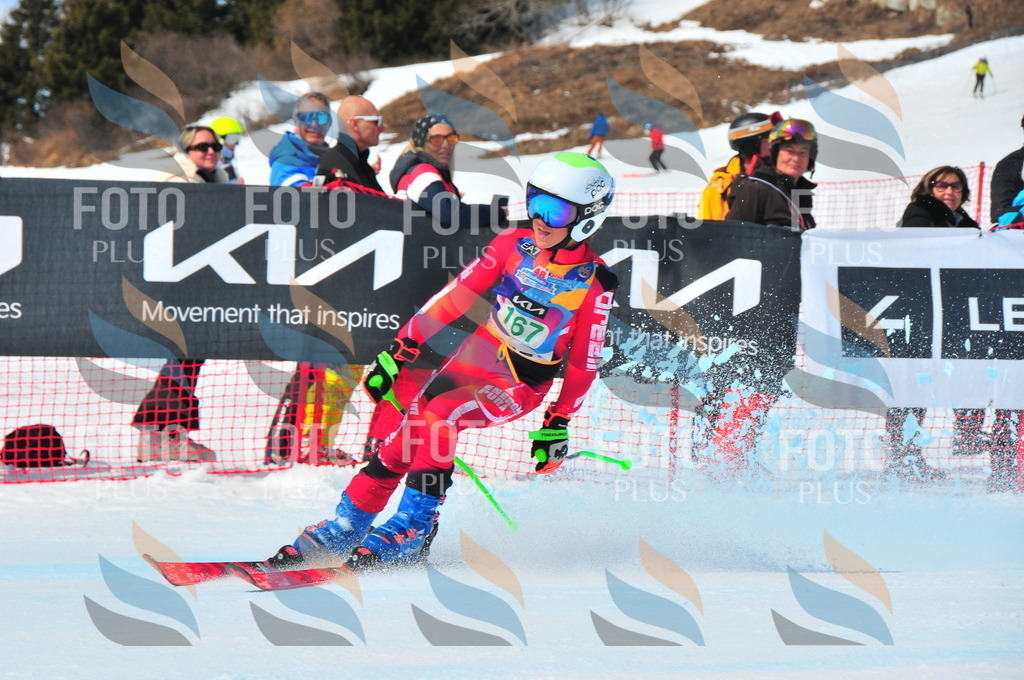 DSC_1506 | holidayphoto