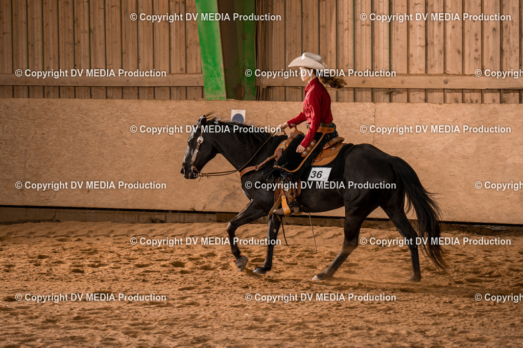 BA400808 | dv-media-shop - Realisiert mit Pictrs.com