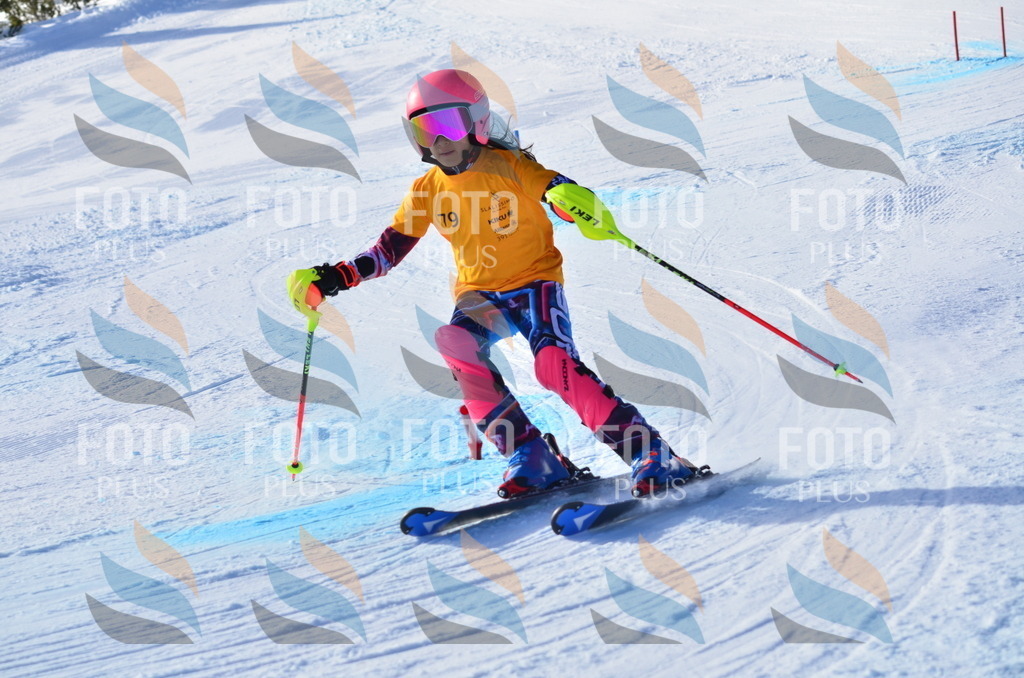 C5973 | holidayphoto