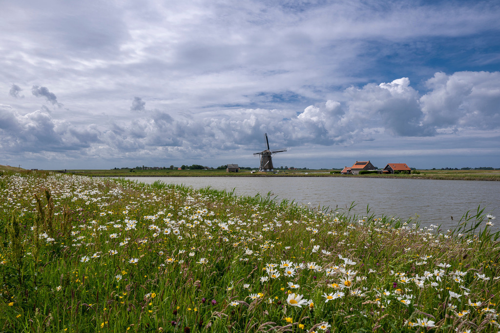 260606_Texel_8231_mr | Entdecke exklusive Fotografie im muebri Shop: Stimmungsvolle Motive  Naturaufnahmen und mehr. Jetzt hochwertige Wandbilder und Fotoabzüge online kaufen! - Realisiert mit Pictrs.com