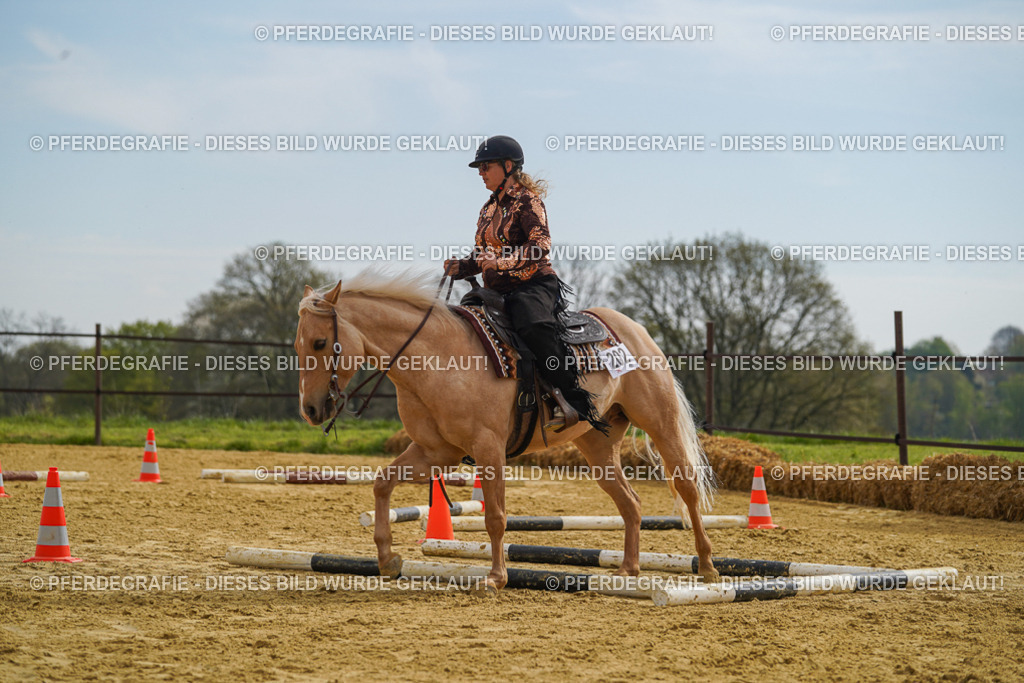 DSC02212 | Pferdegrafie