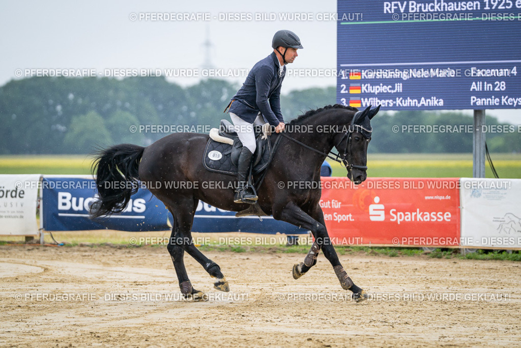 DSC01315 | Pferdegrafie