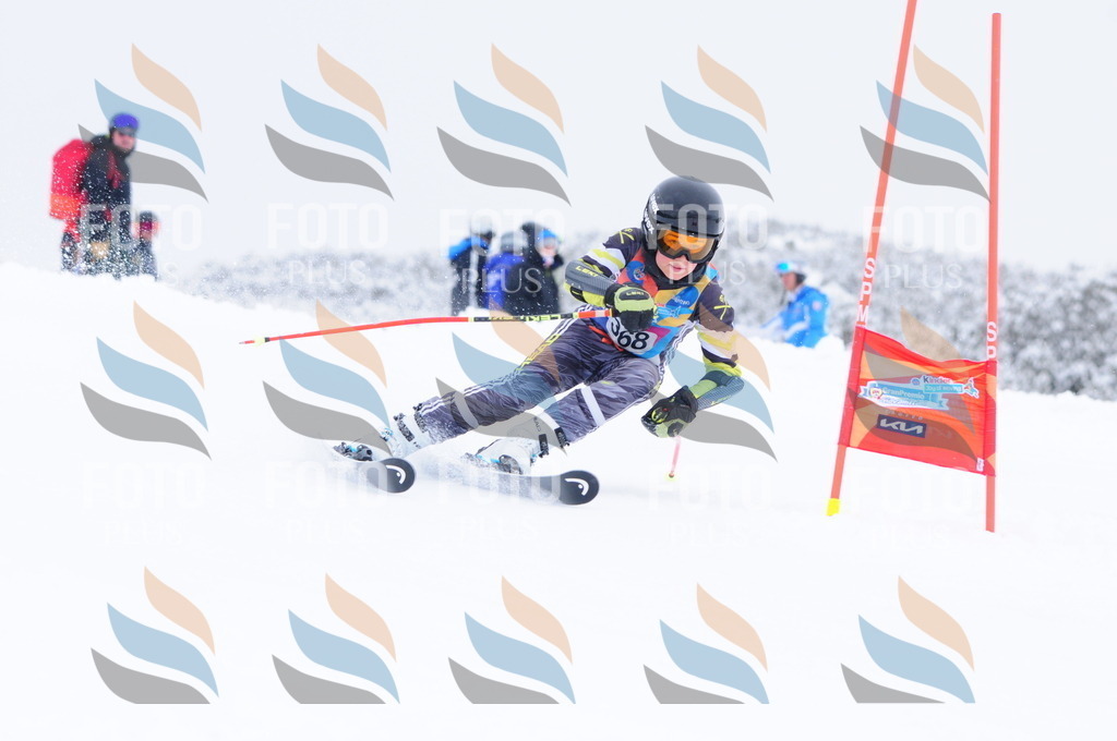 C3935 | holidayphoto