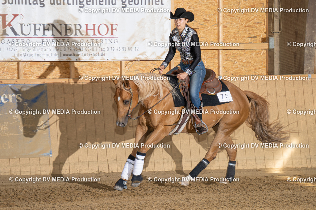 DSC00324 | dv-media-shop - Realisiert mit Pictrs.com