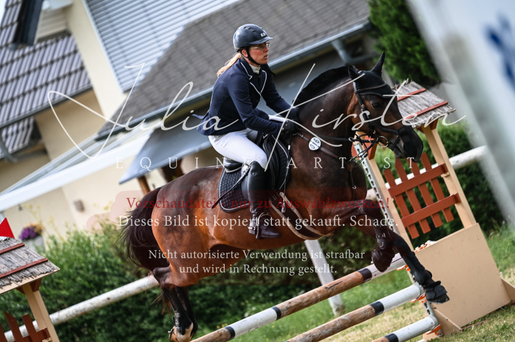 DSC_8266 | Pferde- und Turnierfotografie in Westsachsen. Pferdeportraits, Auftragszeichnungen und intuitive Kunst.