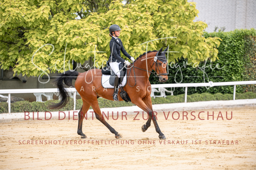 Schugtsche-Aluta25-41.Amat-Dressurprf.A_-39 | Schugtsche Fotografie - Realisiert mit Pictrs.com