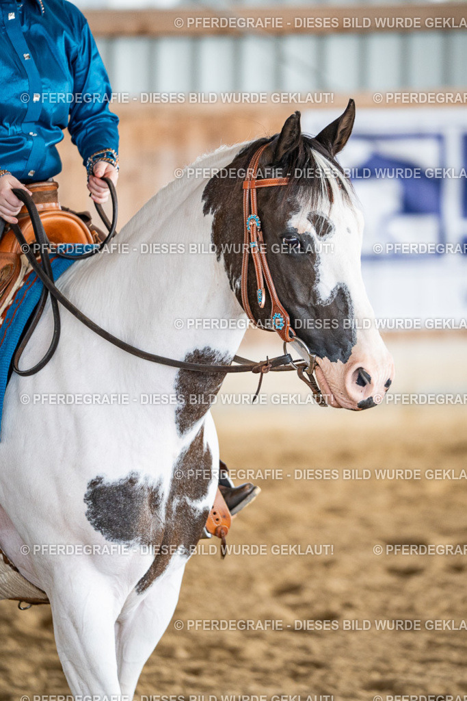 DSC08076 | Pferdegrafie