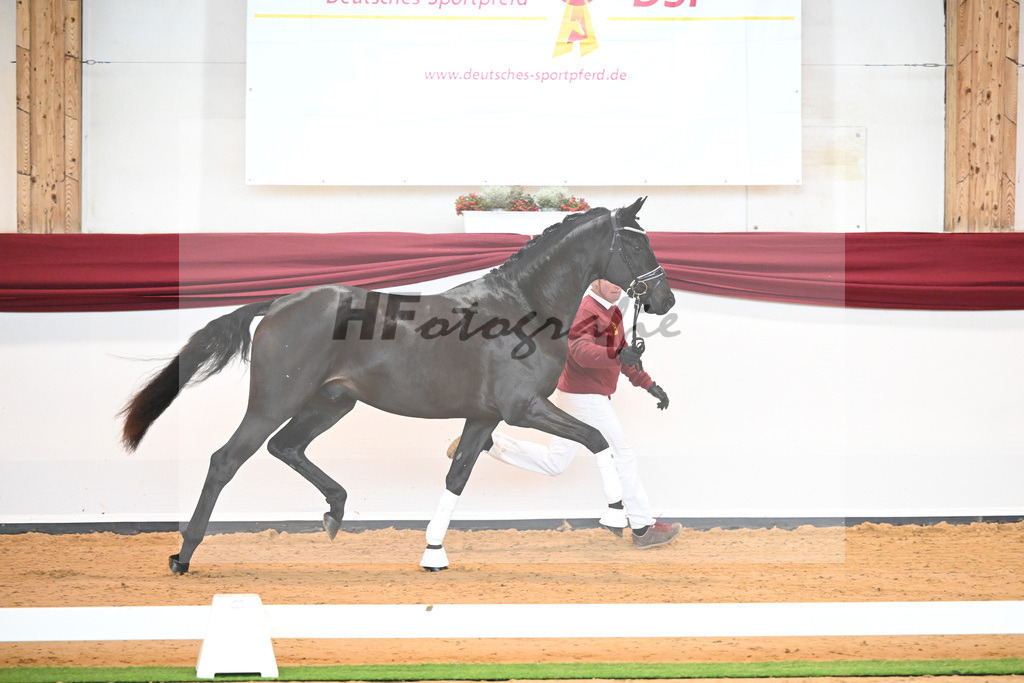 Kat-Nr. 6 v. Bohemian_Albert_66221510 | hf-fotografie - Realisiert mit Pictrs.com