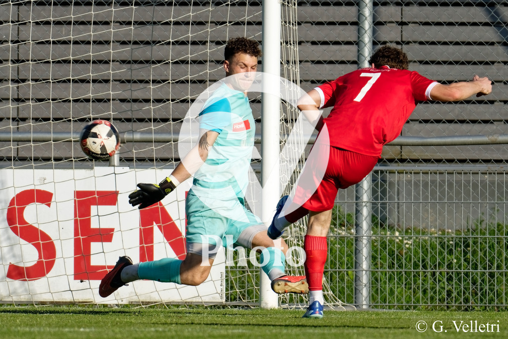 DSC_2222 | Velletri Photo