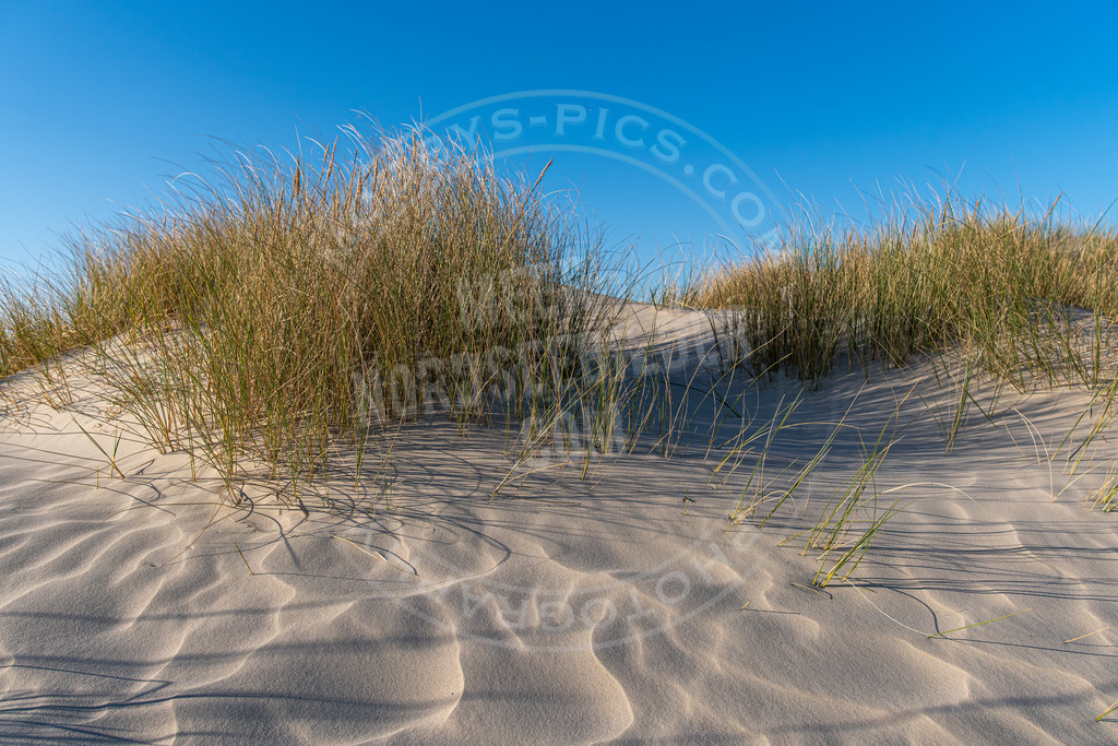 Düne unter blauem Himmel | Ruhige Dünenlandschaft