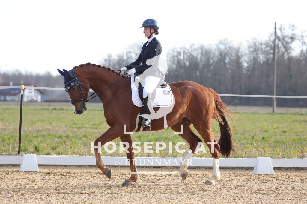 0P6A5944 | Willkommen bei Brunnmayr - Design & Fotografie – Ihrem Spezialisten für Reitturniere und Pferdeveranstaltungen in Oberösterreich, Salzburg und Bayern! Seit über 17 Jahren sind wir leidenschaftlich dabei.